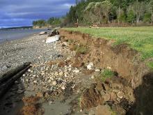 bulkhead erosion